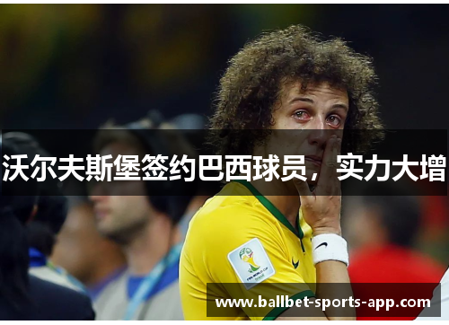 沃尔夫斯堡签约巴西球员，实力大增